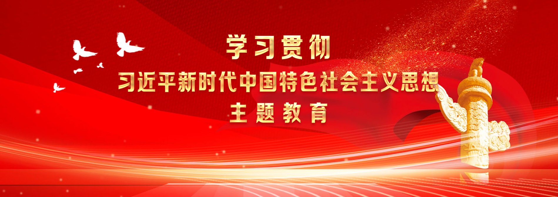 學(xué)習(xí)貫徹習(xí)近平新時(shí)代中國(guó)特色社會(huì)主義思想主題教育